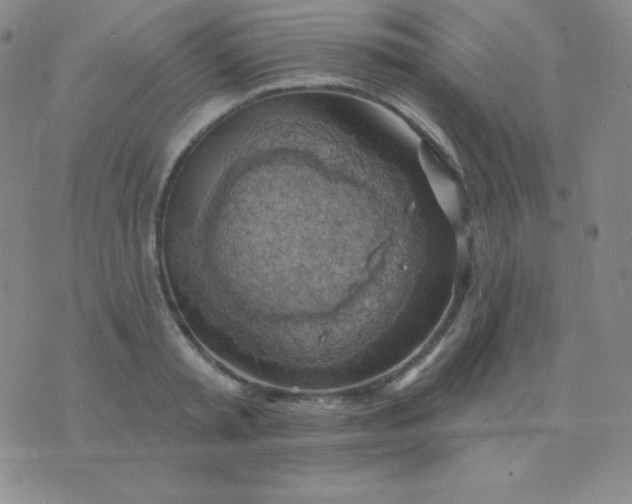 X0000076220797200610122049