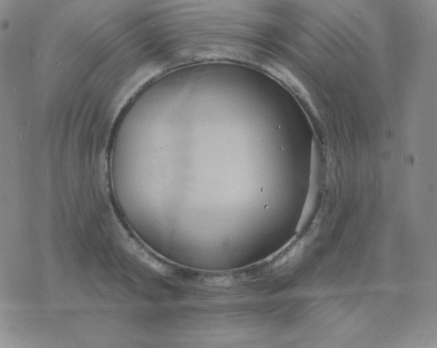 X0000076220798200610122049