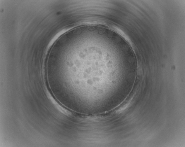 X0000076220803200610122048