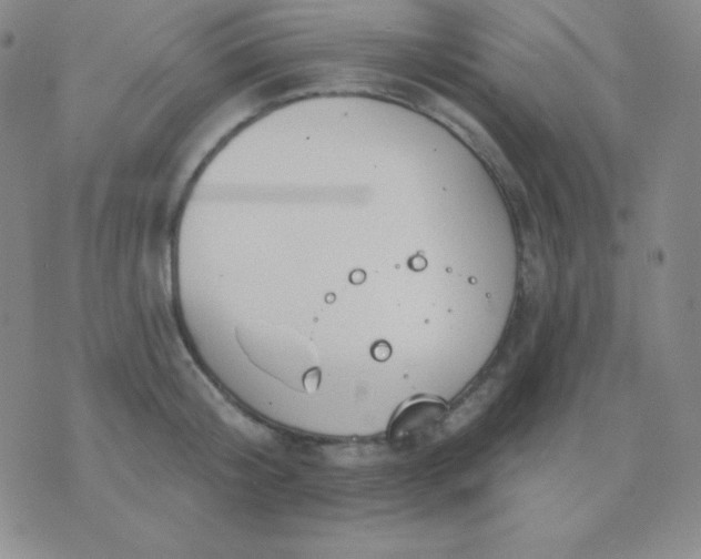 X0000076220804200610122048