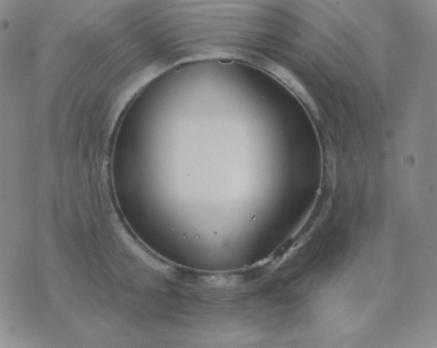 X0000076220805200610122048