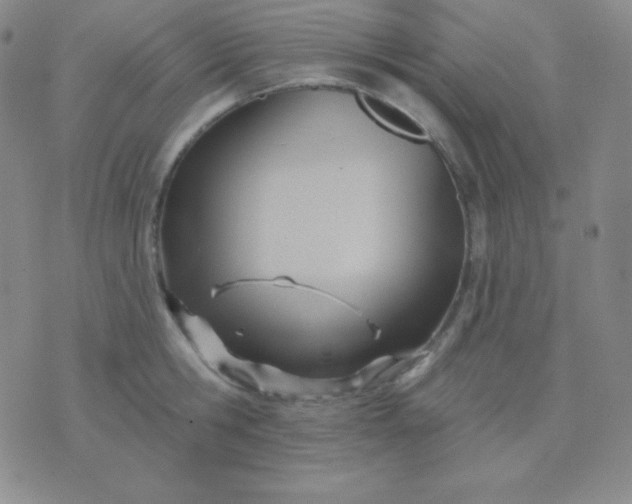 X0000076220806200610122048