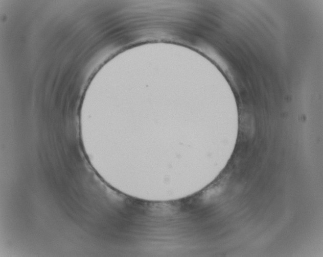 X0000076220807200610122048