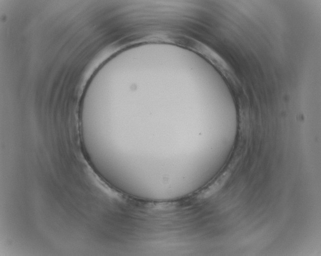 X0000076220808200610122048