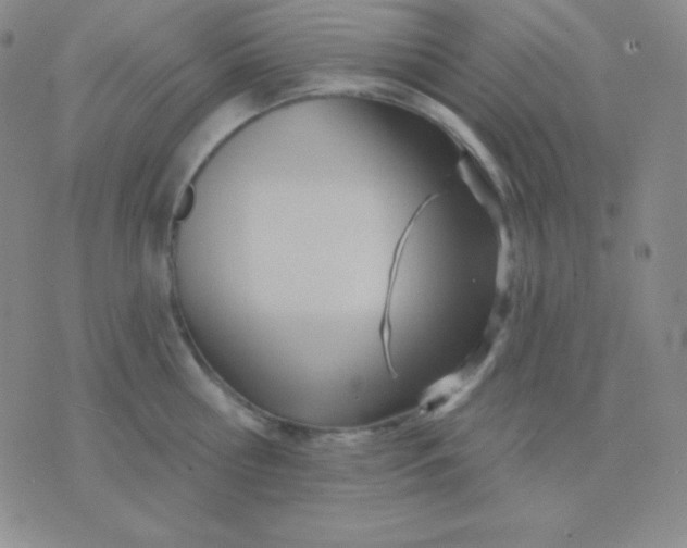 X0000076220810200610122048