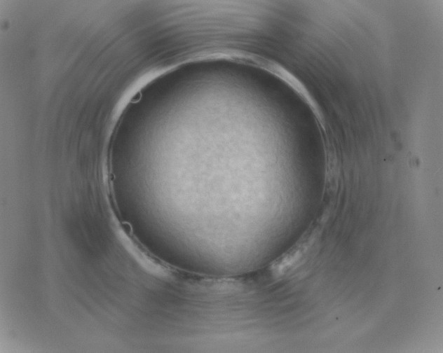 X0000076220811200610122048