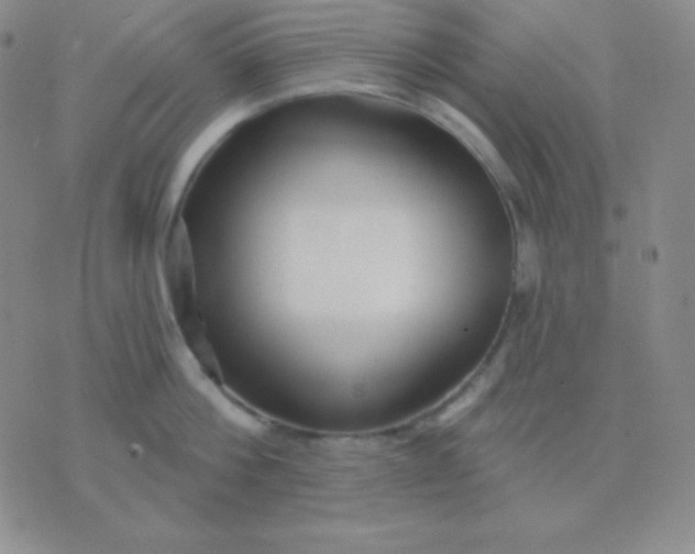 X0000076220812200610122048