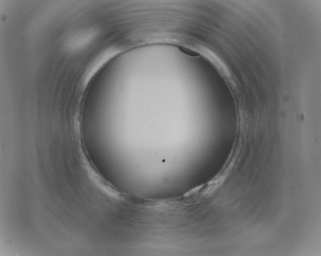 X0000076220814200610122048