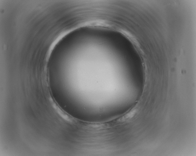 X0000076220816200610122048