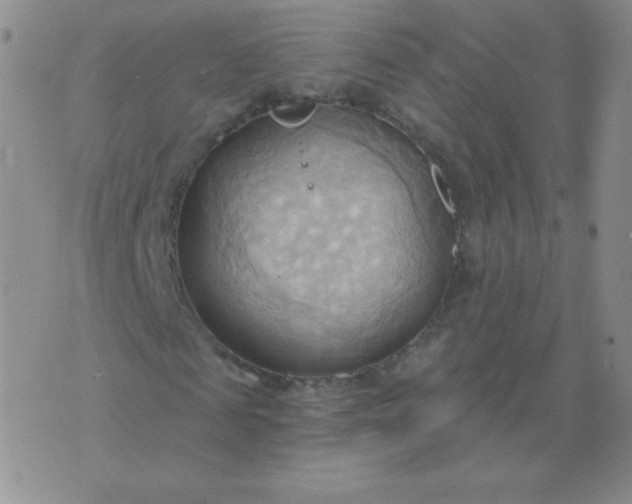 X0000076220817200610122047