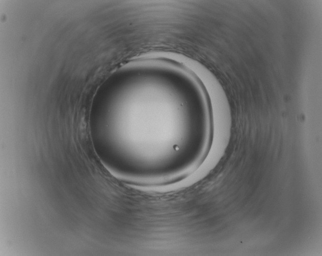 X0000076220818200610122047