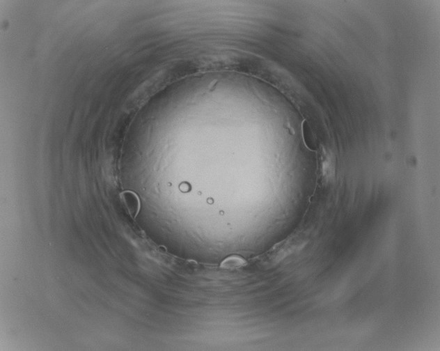 X0000076220819200610122047