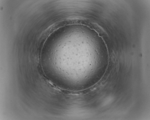 X0000076220821200610122048