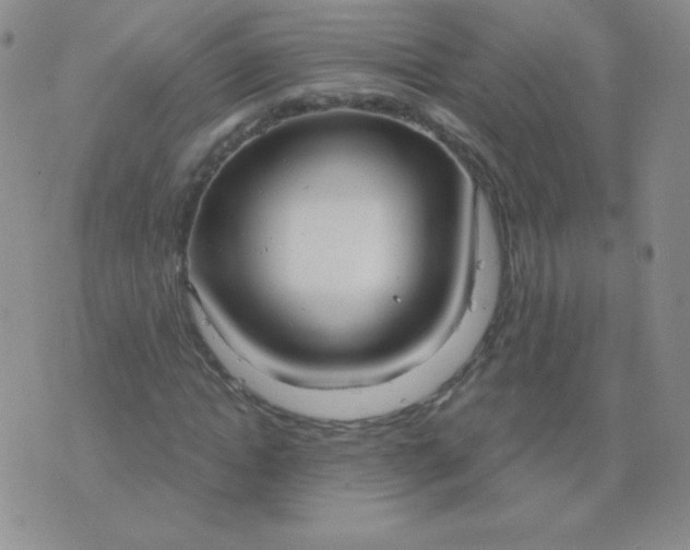 X0000076220822200610122048