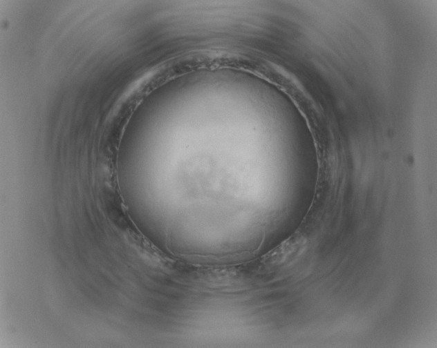 X0000076220823200610122048