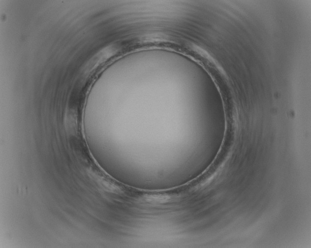 X0000076220825200610122048