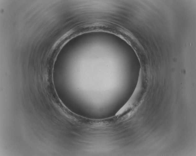 X0000076220826200610122048