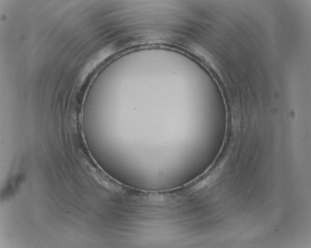 X0000076220827200610122048