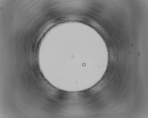 X0000076220828200610122048