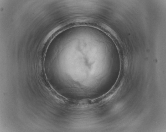 X0000076220829200610122048