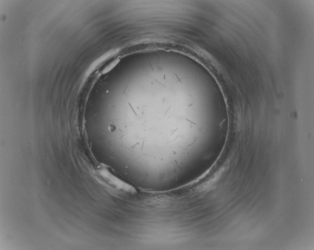 X0000076220830200610122048