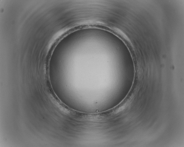 X0000076220831200610122048