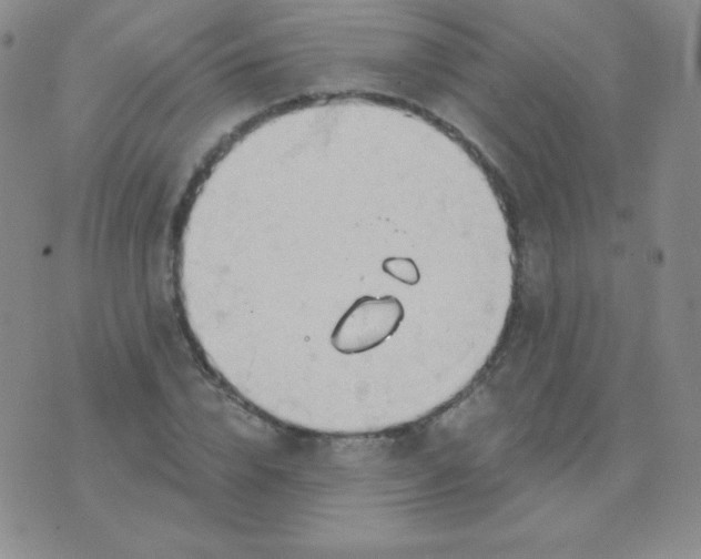 X0000076220832200610122048