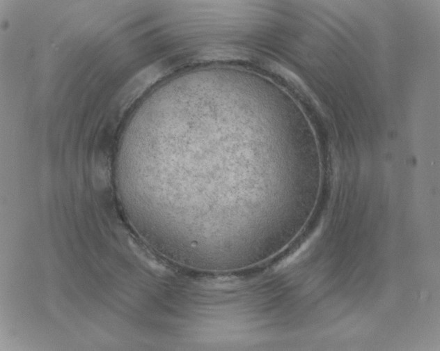 X0000076220833200610122048