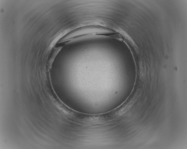 X0000076220834200610122048