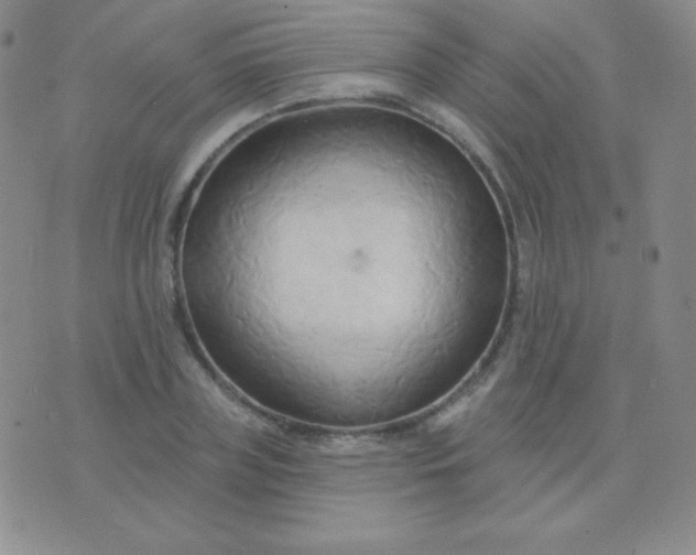 X0000076220835200610122048