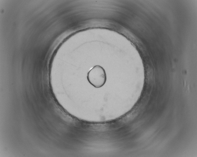 X0000076220836200610122048