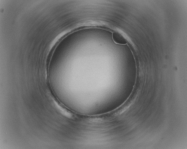 X0000076220837200610122048