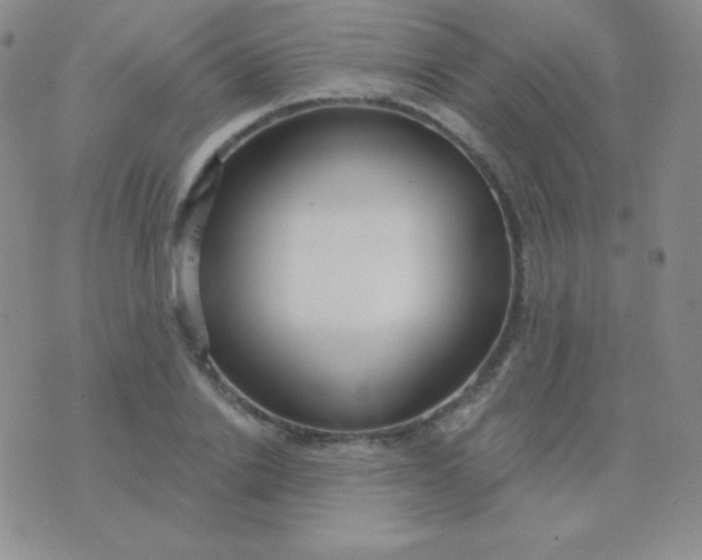 X0000076220838200610122048