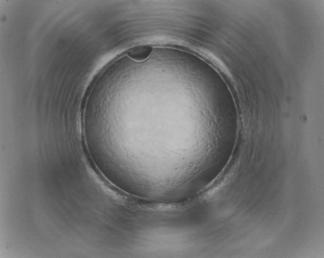 X0000076220839200610122048