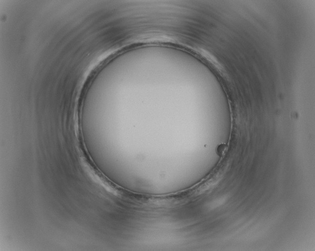 X0000076220840200610122048