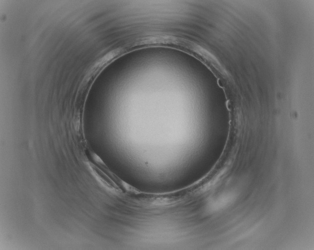 X0000076220841200610122048