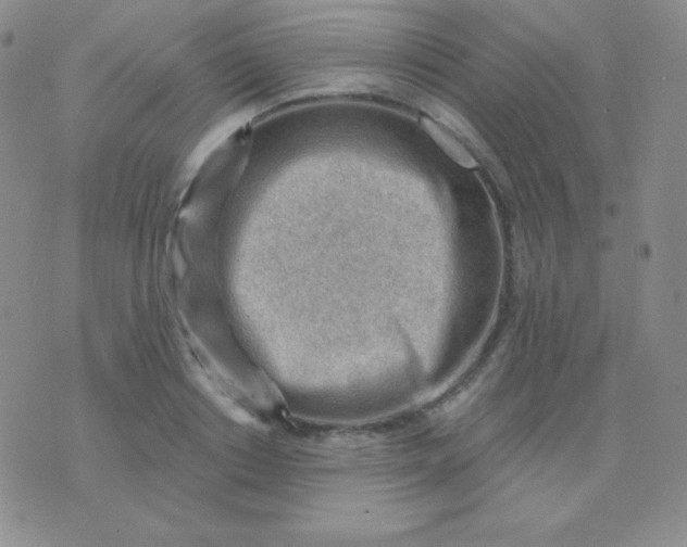 X0000076220842200610122048