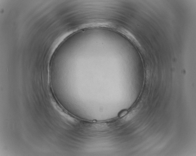 X0000076220844200610122048