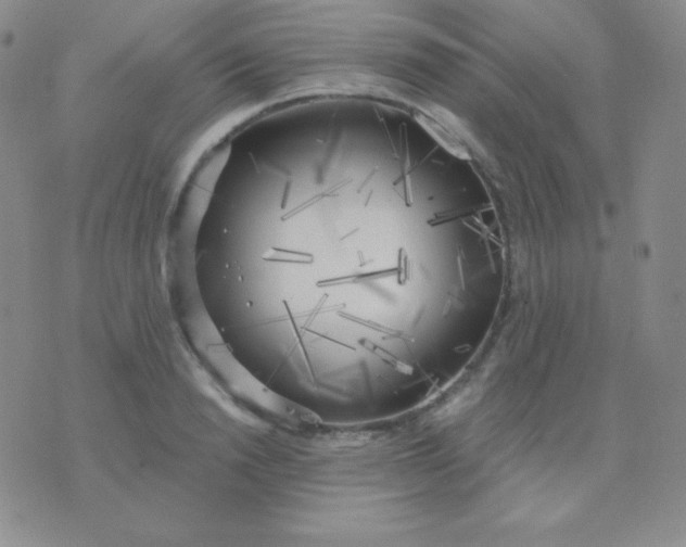 X0000076220846200610122048