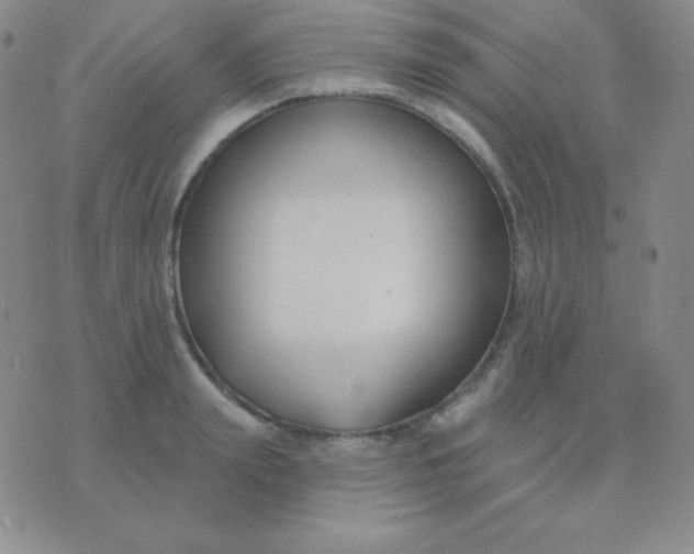 X0000076220847200610122048