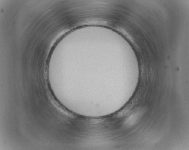 X0000076220848200610122048