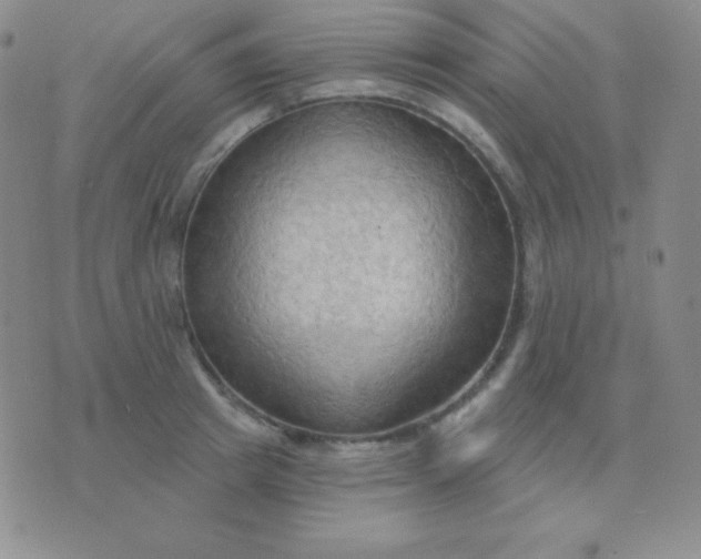 X0000076220849200610122048