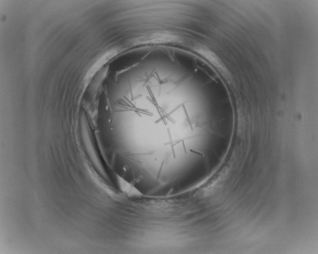 X0000076220850200610122048