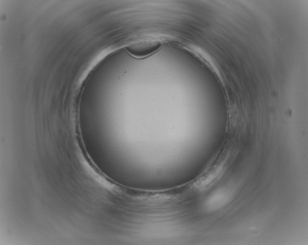 X0000076220851200610122048