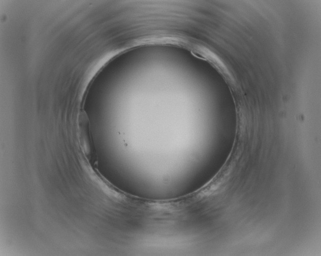 X0000076220852200610122048