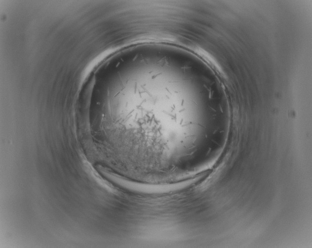 X0000076220854200610122048