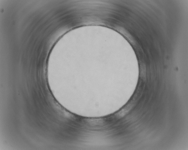 X0000076220856200610122048