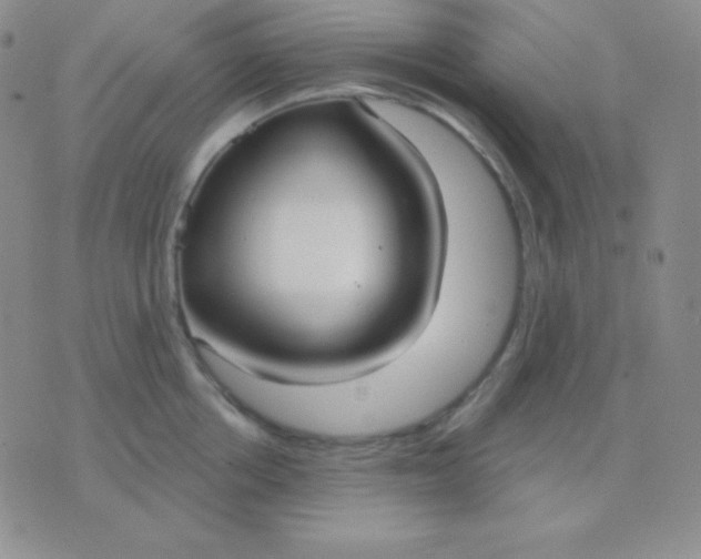 X0000076220858200610122048