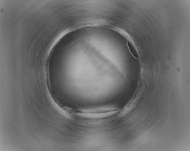 X0000076220859200610122048