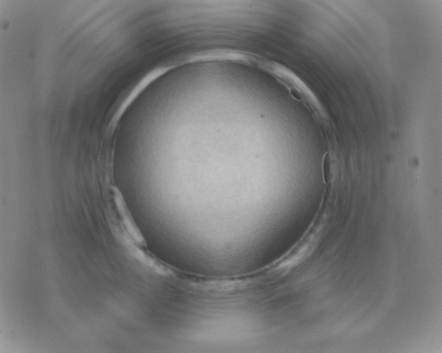 X0000076220860200610122048